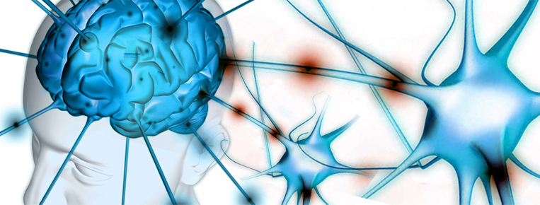 Neurologia
