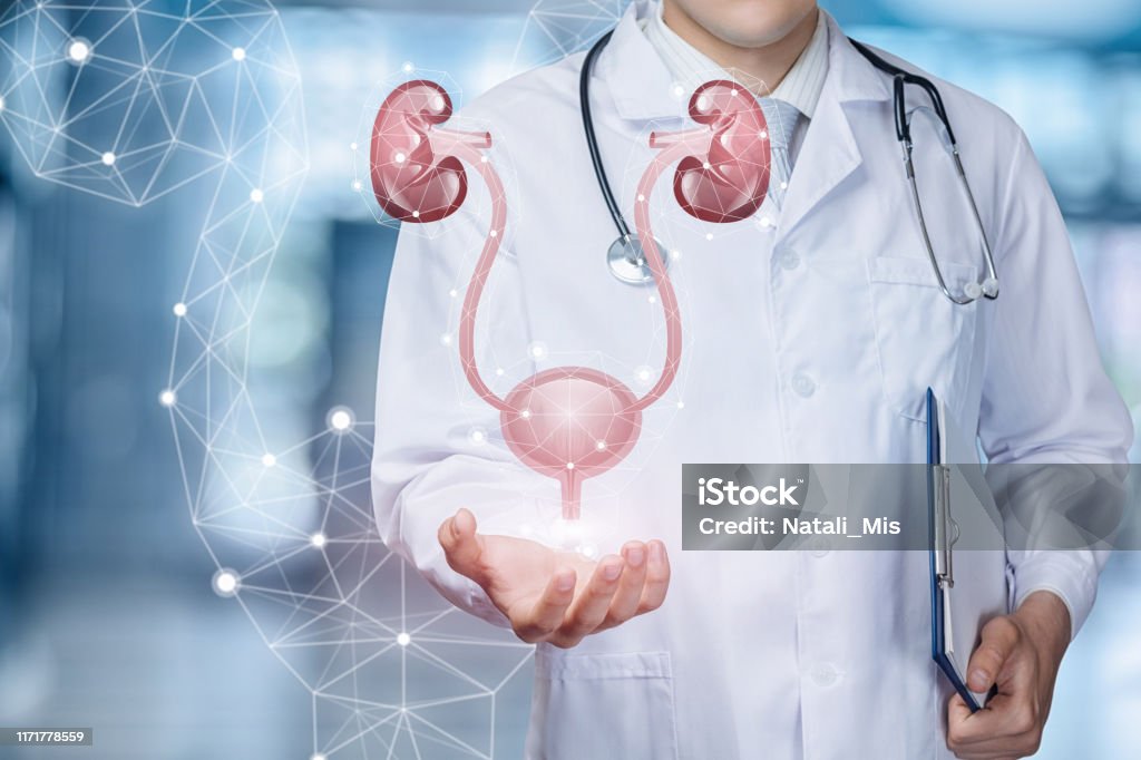 Urologia/Andrologia